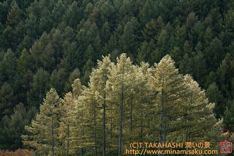 ../Images/7R251025 (95).jpg